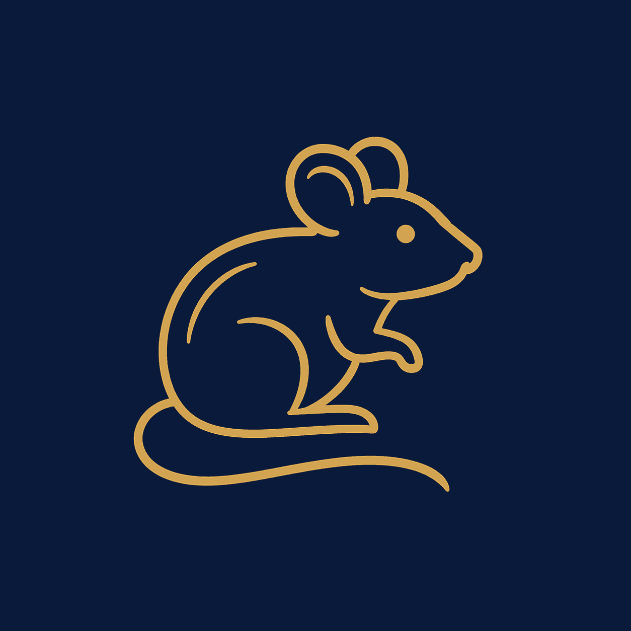 Rat Chinese zodiac artwork